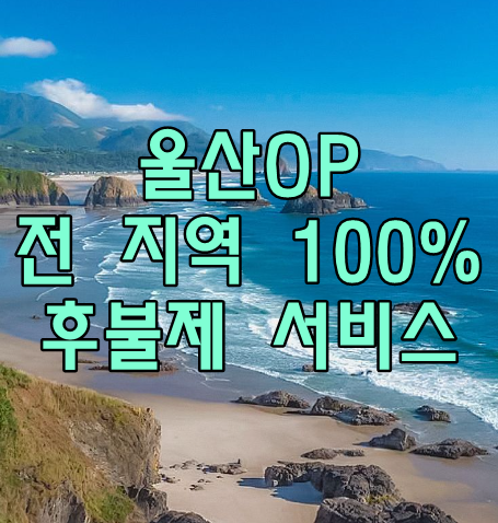 울산OP 전 지역 100% 후불제 서비스