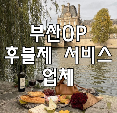 부산OP 후불제 서비스 업체